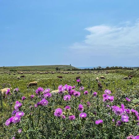 Casetta Degli Ulivi Uggiano La Chiesa Εξωτερικό φωτογραφία