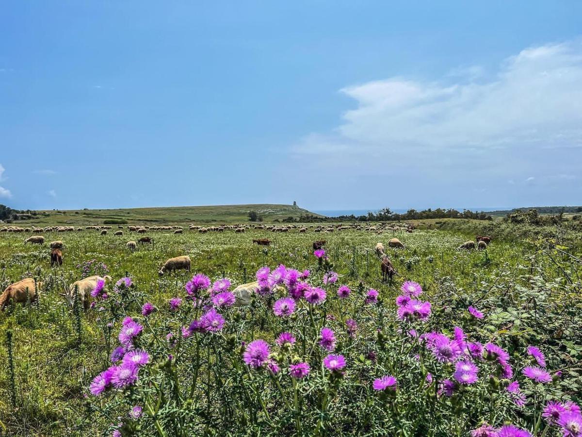 Casetta Degli Ulivi Uggiano La Chiesa Εξωτερικό φωτογραφία